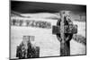 Old lichen-covered Celtic cross at Burrishoole Abbey in County Mayo, Ireland.-Betty Sederquist-Mounted Photographic Print