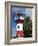 Old Lighthouse, Deep Water Harbour, St. Johns, West Indies, Caribbean-Richard Cummins-Framed Photographic Print