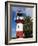 Old Lighthouse, Deep Water Harbour, St. Johns, West Indies, Caribbean-Richard Cummins-Framed Photographic Print