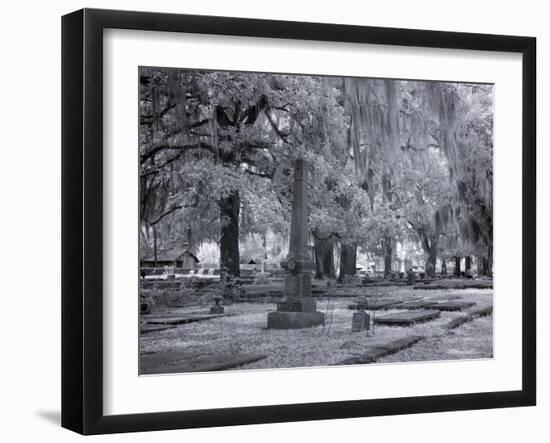 Old Live Oak Cemetery, Selma, Alabama-Carol Highsmith-Framed Art Print
