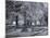 Old Live Oak Cemetery, Selma, Alabama-Carol Highsmith-Mounted Art Print