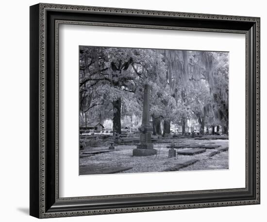 Old Live Oak Cemetery, Selma, Alabama-Carol Highsmith-Framed Art Print