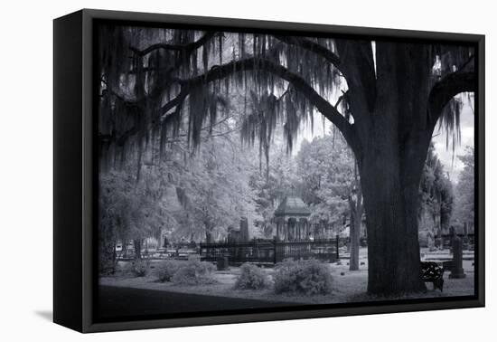 Old Live Oak Cemetery, Selma, Alabama-Carol Highsmith-Framed Stretched Canvas
