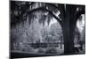 Old Live Oak Cemetery, Selma, Alabama-Carol Highsmith-Mounted Art Print