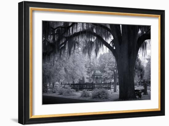 Old Live Oak Cemetery, Selma, Alabama-Carol Highsmith-Framed Art Print