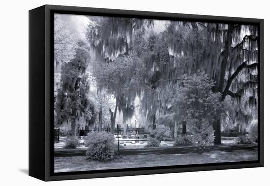 Old Live Oak Cemetery, Selma, Alabama-Carol Highsmith-Framed Stretched Canvas