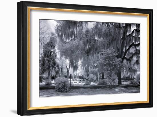 Old Live Oak Cemetery, Selma, Alabama-Carol Highsmith-Framed Art Print