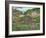 Old Log Church House-Carol Salas-Framed Giclee Print