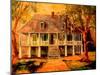 Old Louisiana Planters House-Diane Millsap-Mounted Art Print