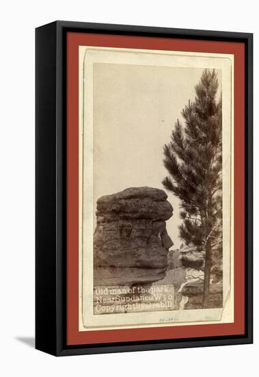 Old Man of the Park. Near Sundance, Wyo-John C. H. Grabill-Framed Premier Image Canvas