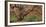 Old Maple Color-Moises Levy-Framed Photographic Print