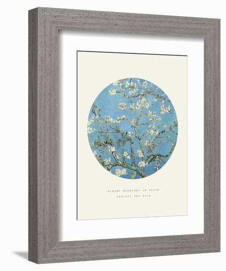 Old Masters, New Circles: Almond Branches in Bloom, San Remy, c.1890-Vincent van Gogh-Framed Art Print