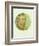 Old Masters, New Circles: Self Portrait-Vincent van Gogh-Framed Premium Giclee Print