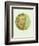 Old Masters, New Circles: Self Portrait-Vincent van Gogh-Framed Premium Giclee Print