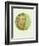 Old Masters, New Circles: Self Portrait-Vincent van Gogh-Framed Premium Giclee Print