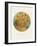 Old Masters, New Circles: Sunflowers, c.1889-Vincent van Gogh-Framed Art Print