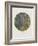 Old Masters, New Circles: Tannenwald (Pine Forest), c.1902-Gustav Klimt-Framed Art Print