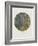 Old Masters, New Circles: Tannenwald (Pine Forest), c.1902-Gustav Klimt-Framed Art Print