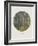 Old Masters, New Circles: Tannenwald (Pine Forest), c.1902-Gustav Klimt-Framed Art Print