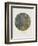 Old Masters, New Circles: Tannenwald (Pine Forest), c.1902-Gustav Klimt-Framed Premium Giclee Print