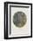 Old Masters, New Circles: Tannenwald (Pine Forest), c.1902-Gustav Klimt-Framed Premium Giclee Print