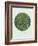Old Masters, New Circles: Trees and Undergrowth, c.1887-Vincent van Gogh-Framed Art Print