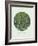 Old Masters, New Circles: Trees and Undergrowth, c.1887-Vincent van Gogh-Framed Art Print