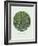 Old Masters, New Circles: Trees and Undergrowth, c.1887-Vincent van Gogh-Framed Art Print