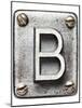 Old Metal Alphabet Letter B-donatas1205-Mounted Art Print