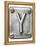 Old Metal Alphabet Letter Y-donatas1205-Framed Stretched Canvas