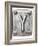Old Metal Alphabet Letter Y-donatas1205-Framed Premium Giclee Print