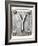 Old Metal Alphabet Letter Y-donatas1205-Framed Premium Giclee Print