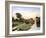 Old Mill Bluestone-Max Hayslette-Framed Giclee Print