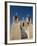 Old Mission of St. Francis De Assisi, Ranchos De Taos, New Mexico, United States of America, North-Richard Maschmeyer-Framed Photographic Print