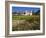 Old Mission Santa Barbara, Santa Barbara, California, United States of America, North America-Richard Cummins-Framed Photographic Print