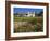 Old Mission Santa Barbara, Santa Barbara, California, United States of America, North America-Richard Cummins-Framed Photographic Print