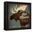 Old Moose Maple Syrup Made in Vermont-Ryan Fowler-Framed Stretched Canvas