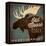 Old Moose Maple Syrup Made in Vermont-Ryan Fowler-Framed Stretched Canvas