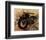 Old Motorcycle-Irena Orlov-Framed Premium Giclee Print