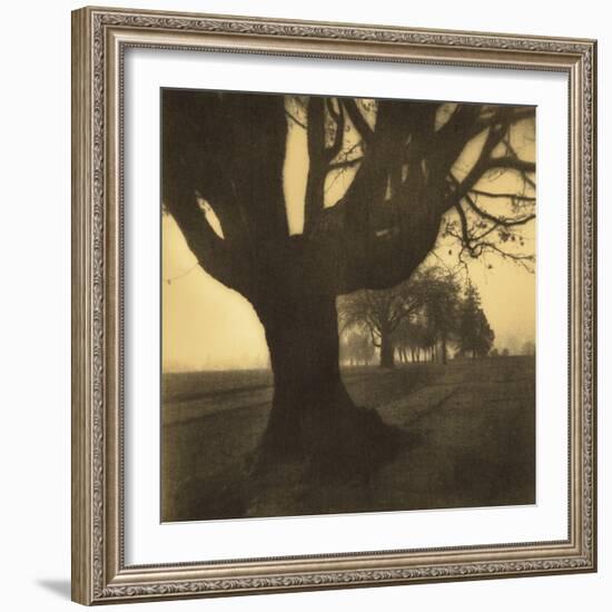 Old Oak Tree on Tree Lined Road-Kevin Cruff-Framed Photographic Print