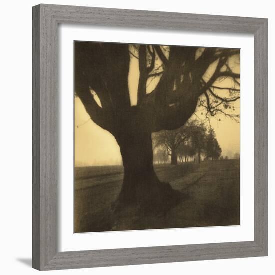 Old Oak Tree on Tree Lined Road-Kevin Cruff-Framed Photographic Print