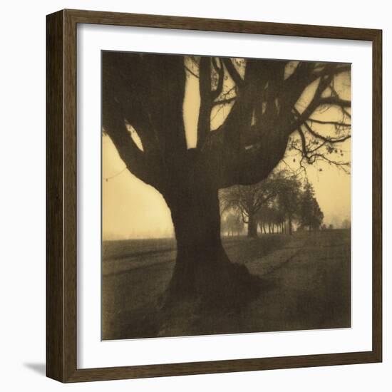 Old Oak Tree on Tree Lined Road-Kevin Cruff-Framed Photographic Print