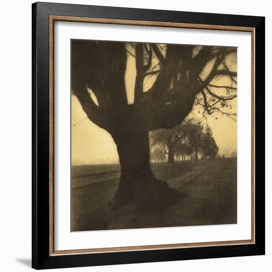 Old Oak Tree on Tree Lined Road-Kevin Cruff-Framed Photographic Print