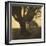 Old Oak Tree on Tree Lined Road-Kevin Cruff-Framed Photographic Print