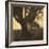 Old Oak Tree on Tree Lined Road-Kevin Cruff-Framed Photographic Print