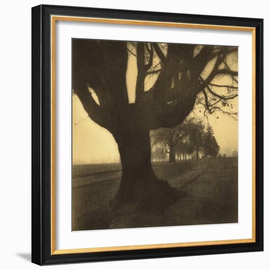 Old Oak Tree on Tree Lined Road-Kevin Cruff-Framed Photographic Print