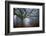 Old oak tree-Phillipe Manguin-Framed Photographic Print