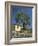 Old Olive Tree in the Garden of a Village House in Deya, Majorca, Balearic Islands, Spain, Europe-Tomlinson Ruth-Framed Photographic Print