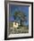 Old Olive Tree in the Garden of a Village House in Deya, Majorca, Balearic Islands, Spain, Europe-Tomlinson Ruth-Framed Photographic Print