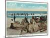 Old Orchard Beach, Maine - Googin's Rocks Scene-Lantern Press-Mounted Art Print